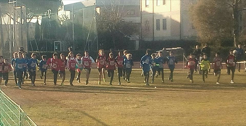 MINI OLIMOPIADI e CAMP PROV CROSS Grosseto 21.01.17 10