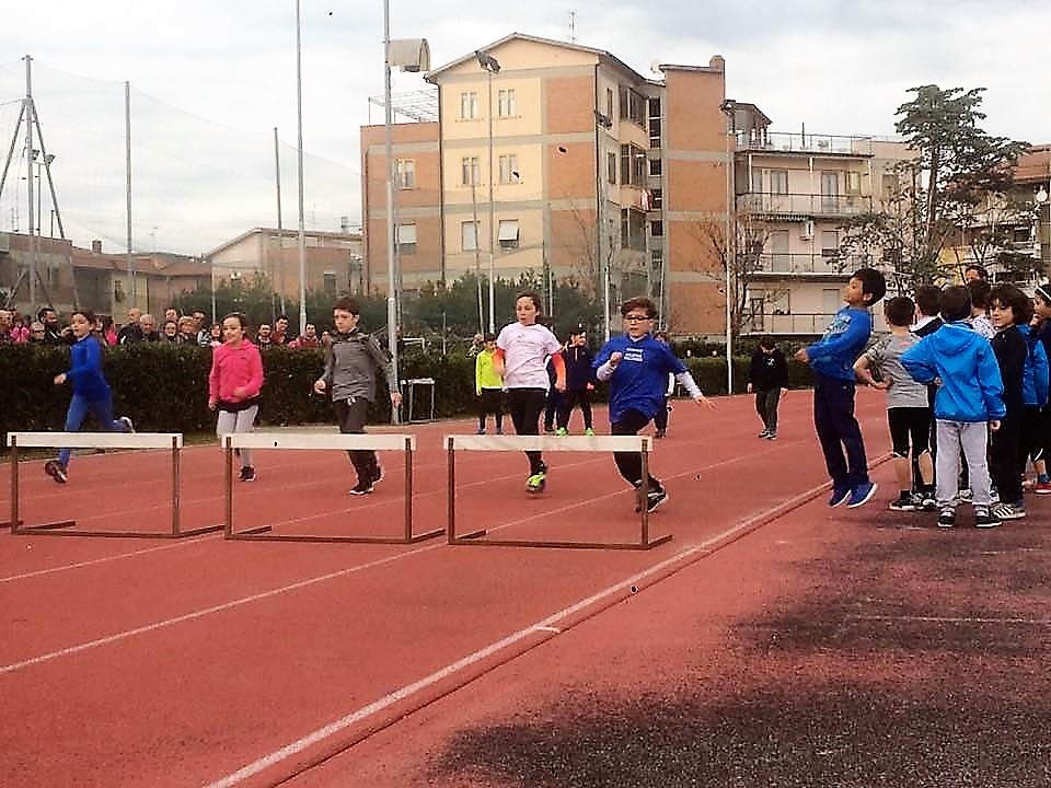 MINIOLIMPIADI Grosseto 20.03.17 5